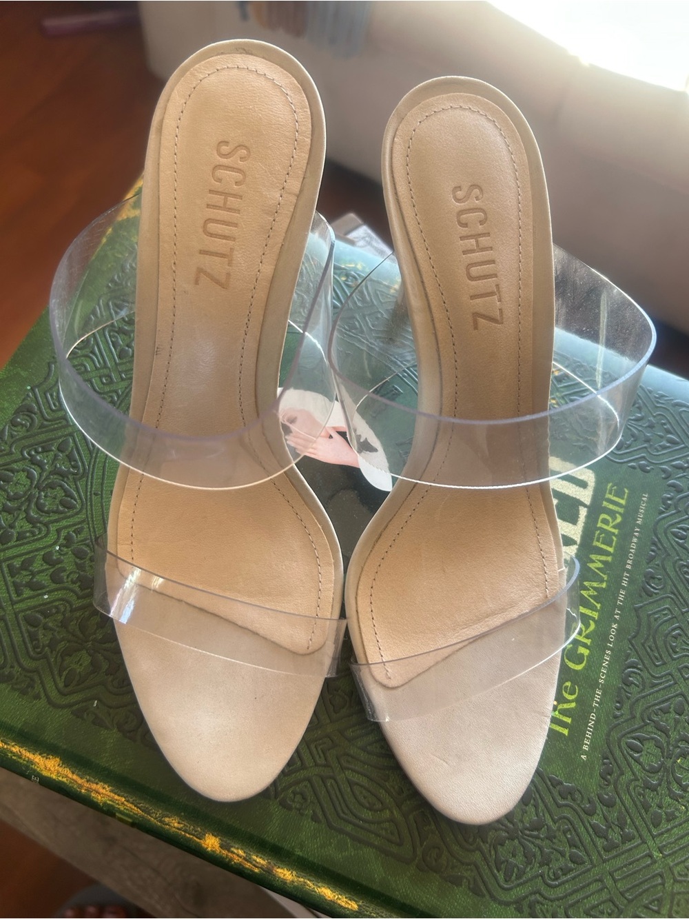 SCHUTZ Clear Strap Nude Slide Heels NWOT - Sz 6